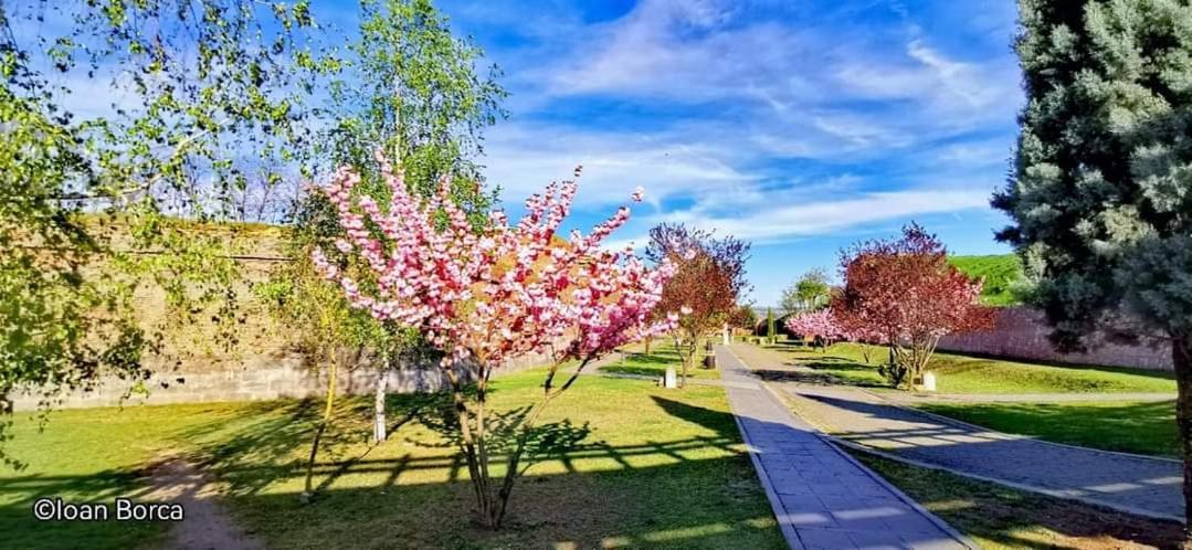 The View1 Apartment Alba Iulia Luaran gambar